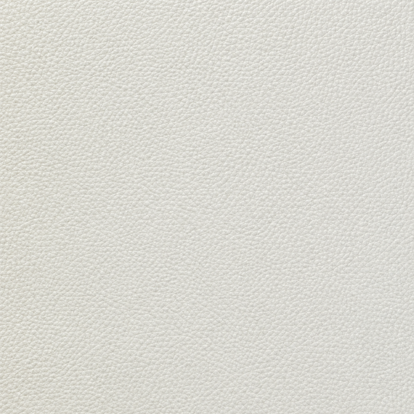 Ivory White