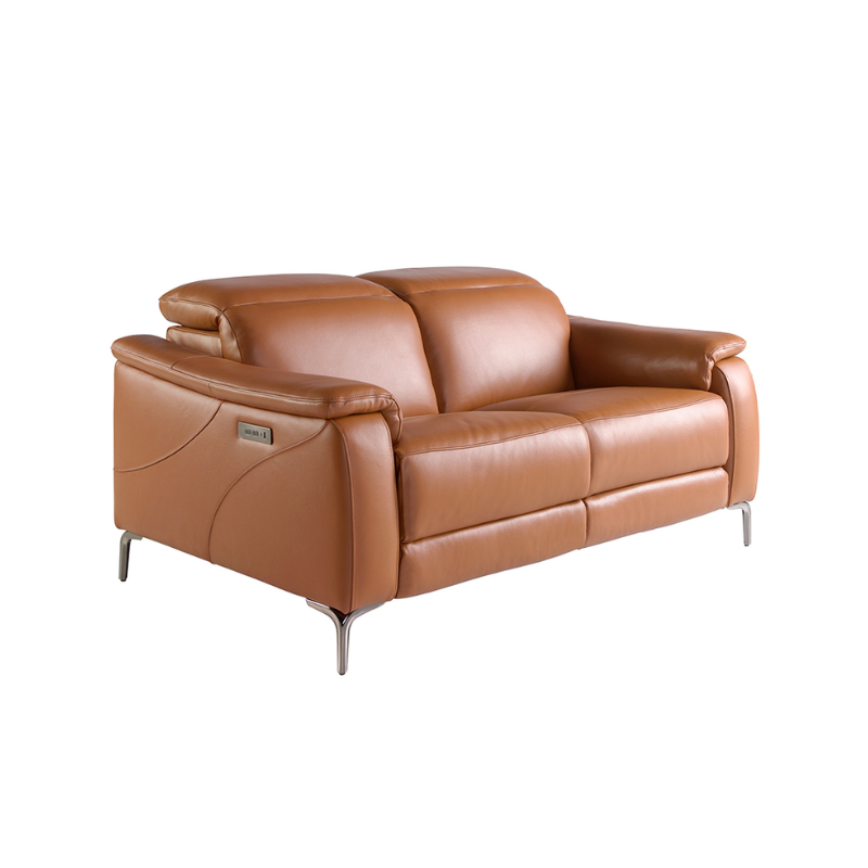 Gaius Leather Recliner Sofa