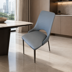 Jettson Dining Chair