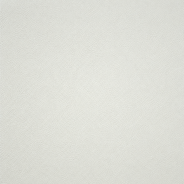 Cream White