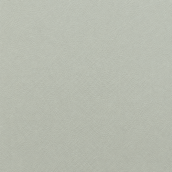 Pale Grey Green