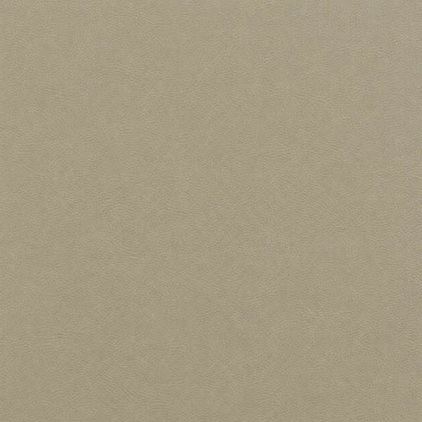 Warm Beige