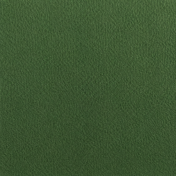 Fabric Deep Forest Green