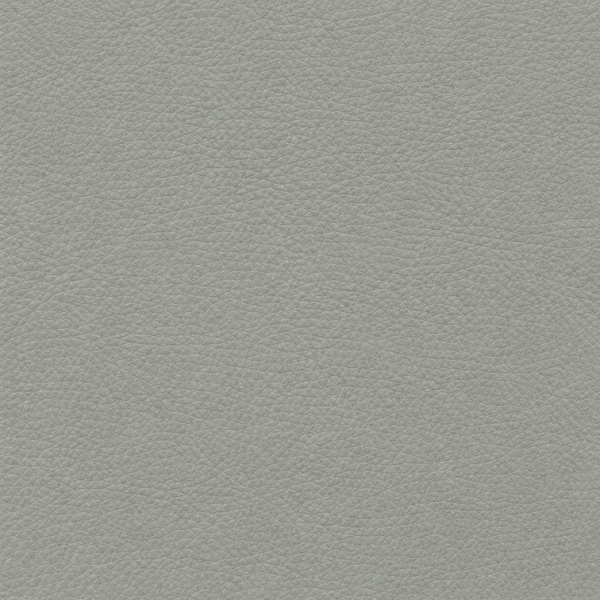 Pearl Grey