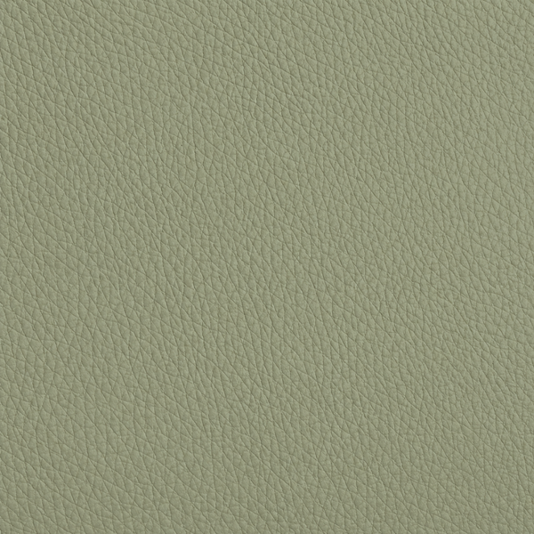 Leather Grass Green