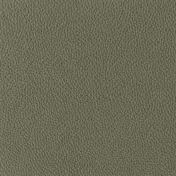 Leather Green