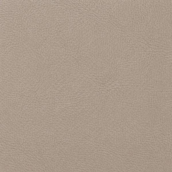 Leather Cappucino