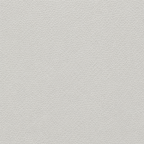 Leather Silver Mist