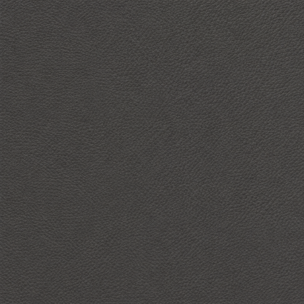 Dark Charcoal