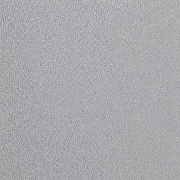 Cool Grey