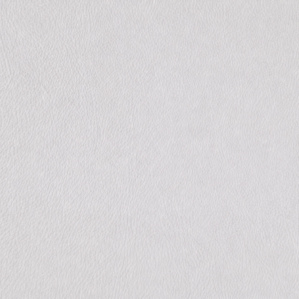 Light Silver