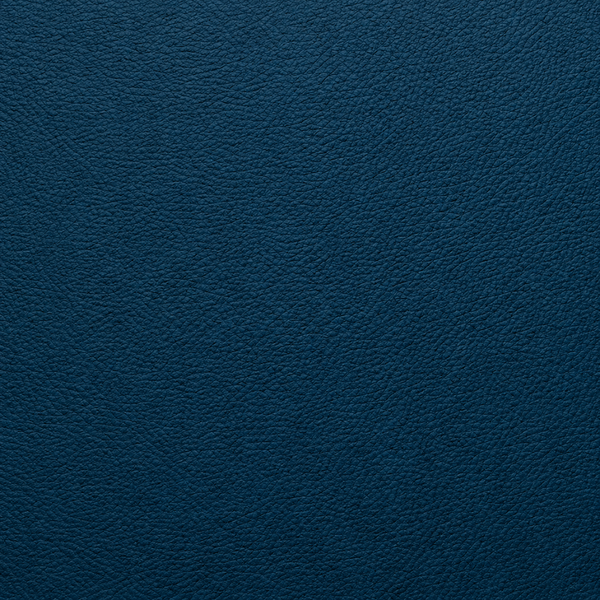 Teal Blue