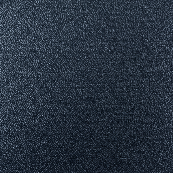 Dark Navy Blue