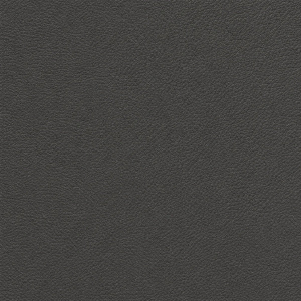 Thin Dark Charcoal