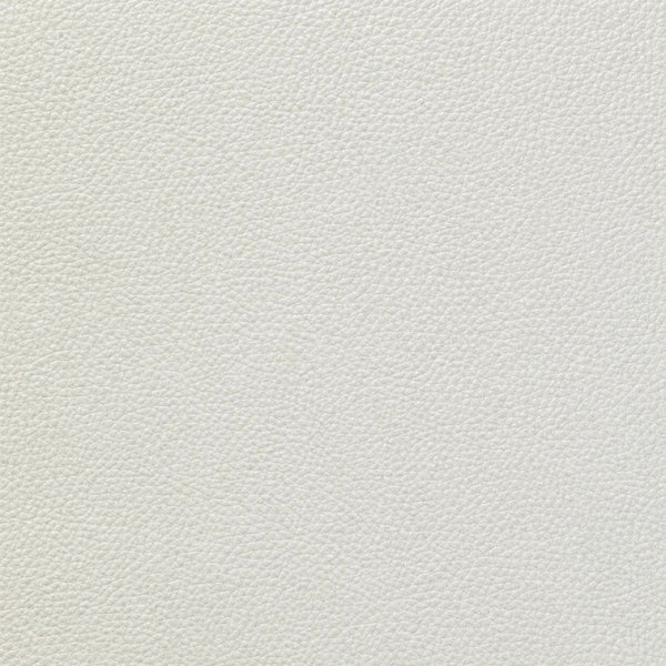 Thick Ivory White