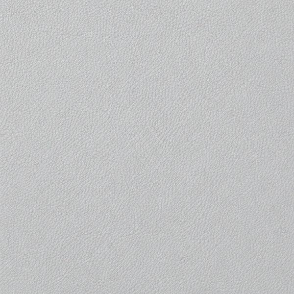 Thin Light Silver