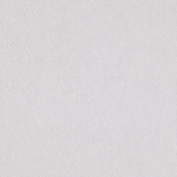 Thick Light Silver