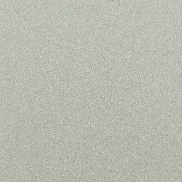 Thin Pale Grey Green