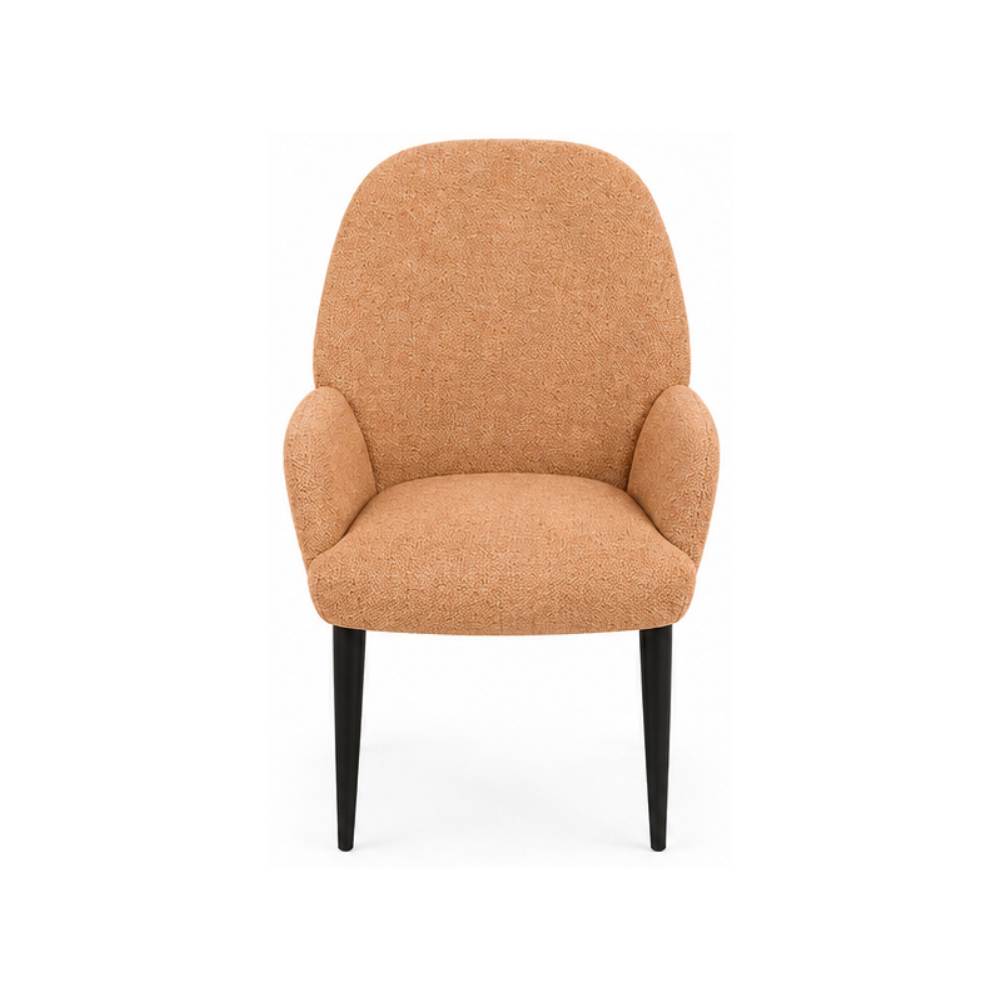 Brown armchair on a white background