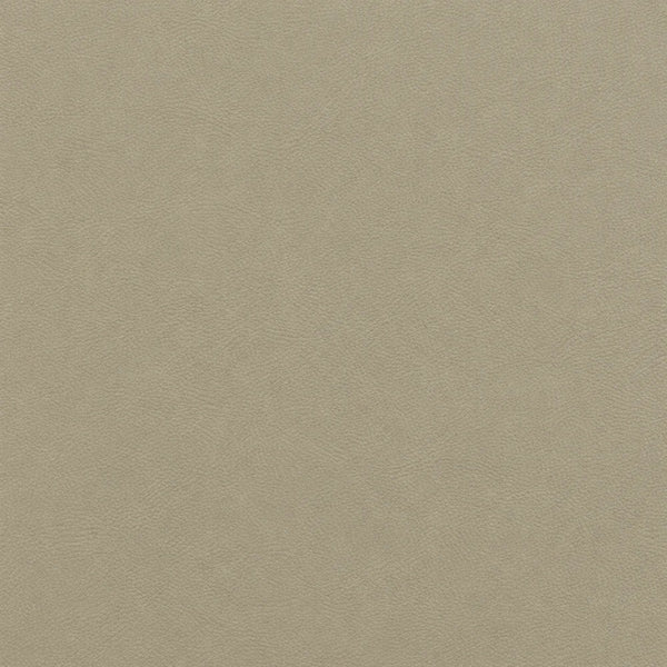 Thin Warm Beige
