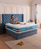 Dr.Maxis Royale Glacier 16 Inch Pocketed Spring Mattress